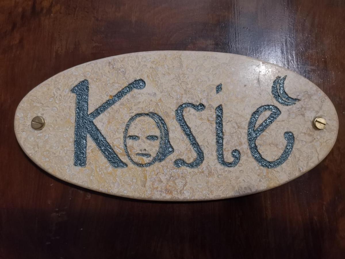 Kosie - Il Comfort Di Stile Con 2 Bagni Otel Palermo Dış mekan fotoğraf